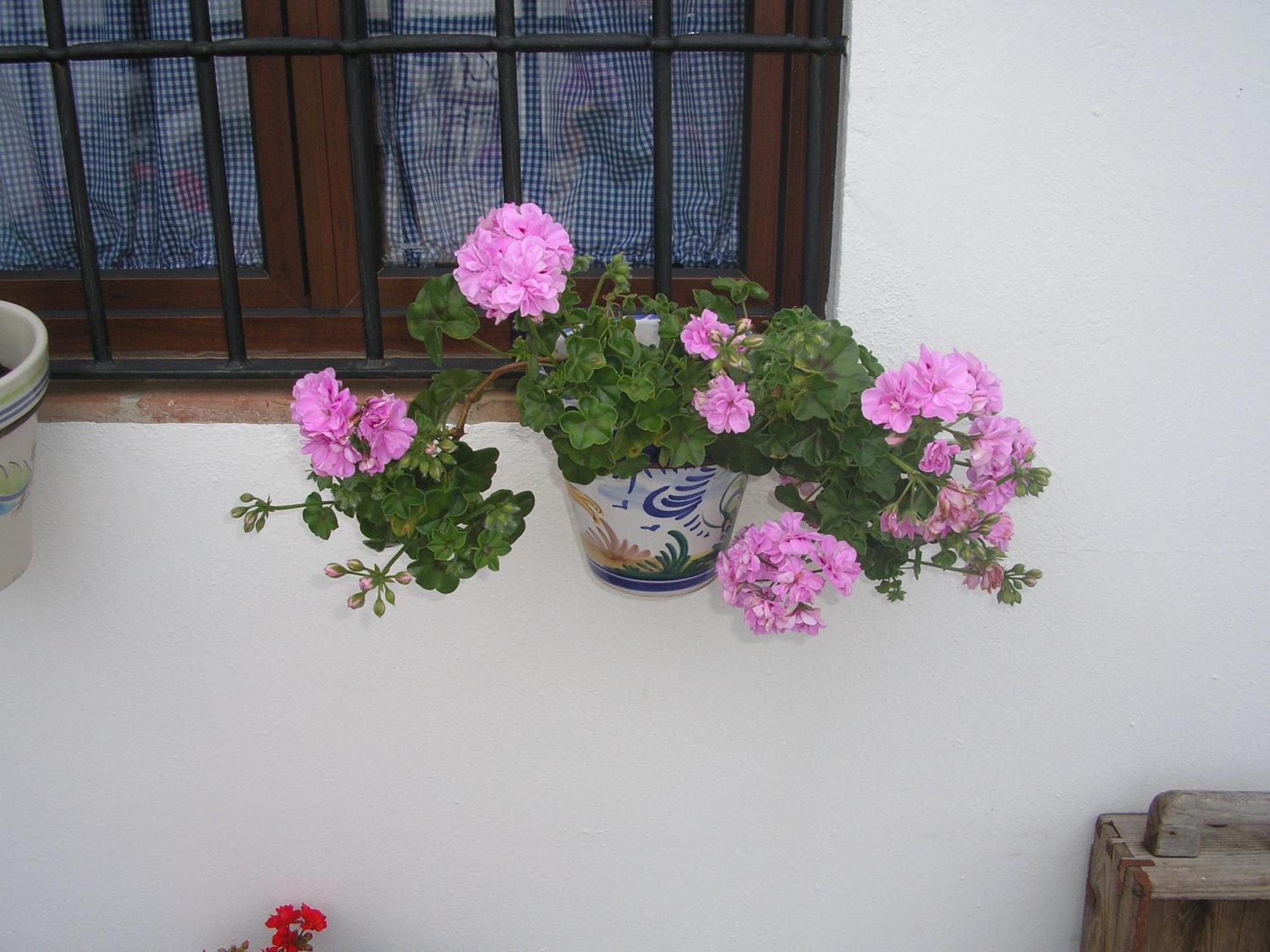 Casa Rural Y Restaurante Casa Adriano Guest House Alanis Ngoại thất bức ảnh